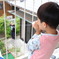 テレフォン