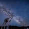 満天の星空を望む