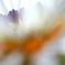 花のドレス