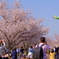 花道