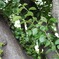 IMG_20180430_175512_706