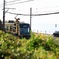 海が見渡せる江ノ電