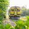いすみ鉄道　ムーミン電車
