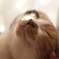 うっとりな朝