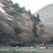 嵐山