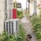 扇町駅の猫