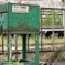 浜川崎駅の猫