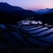 丸山千枚田の夕暮れ
