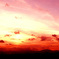 夕景（富士）Ver2