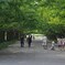 昭和記念公園