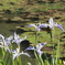 P5040244