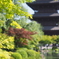東寺 京都