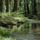 Green　reflection
