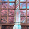 長徳寺のおかめ桜