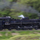 C57 180