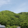 上野村の緑