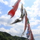 陽射しを浴びて