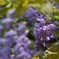 IMG_20180504_083426