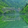 鮮烈green ！
