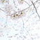R0001503