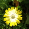 R0001752