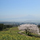 春の白木峰高原(^^)/