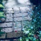何も考えずに 眠りたい