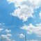 空を仰ぐ ５月