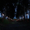 神社の参道2