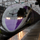 500 TYPE EVA PROJECT Last run（2/4）