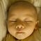 photo_778346