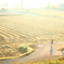 D48239A5-98D6-4906-903C-EA72D0D9EC41
