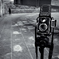 Yashica