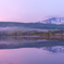Morning mist