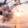 夕焼け桜
