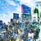 TOKYO COLOR CHROME #009