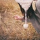 photo_7791035