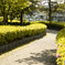 Road curve01