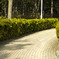 Road curve03