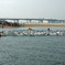 photo_779549