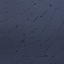 クモの巣　雨