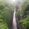 新緑雨の善根滝