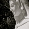 the virgin mary