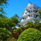 新緑の郡上八幡城
