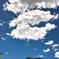 雲
