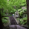 新緑の山寺