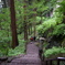 新緑の山寺