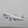 Haneda Airport  JA771J