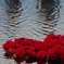 Fleurs