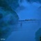 蒼橋